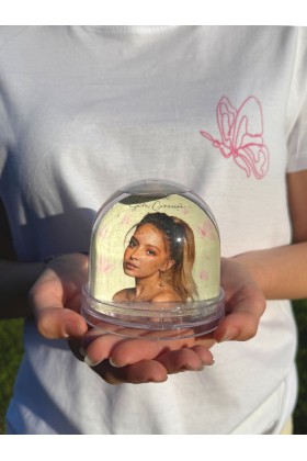 Globo de Neve Associação Sara Carreira